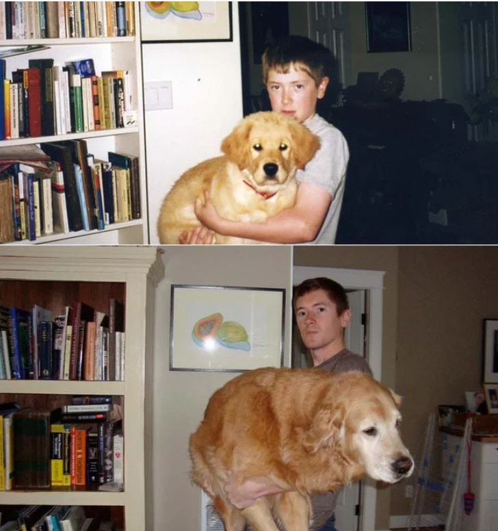 Ảnh: BrightSide Ảnh: BrightSide