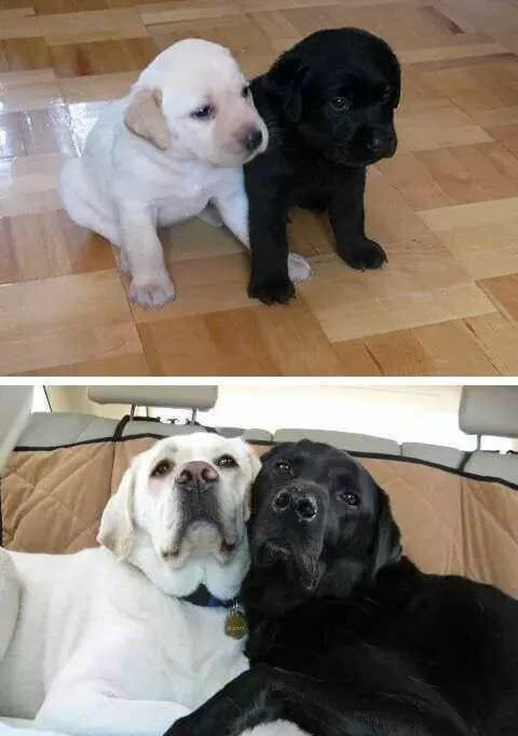 Ảnh: BrightSide Ảnh: BrightSide