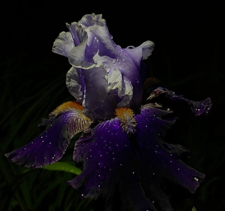 Ảnh: BrightSide Ảnh: BrightSide