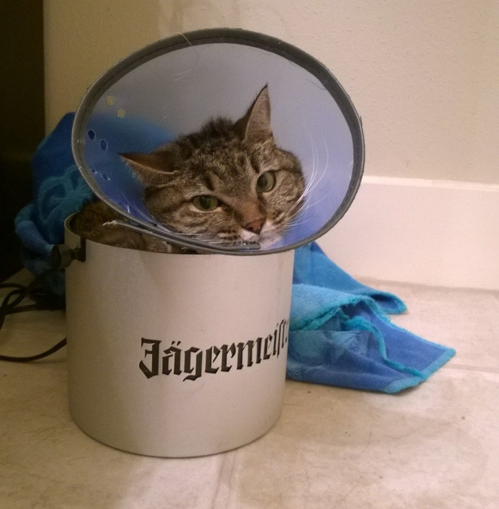 Ảnh: BrightSide Ảnh: BrightSide