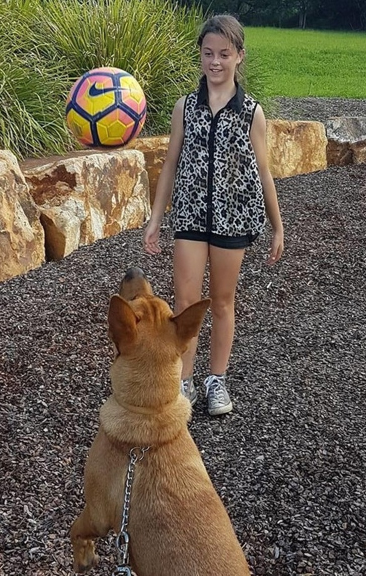 Ảnh: BrightSide Ảnh: BrightSide