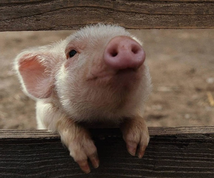 Ảnh: BrightSide Ảnh: BrightSide