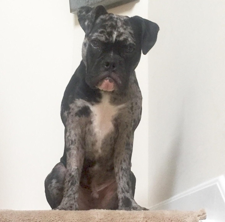 Ảnh: BrightSide Ảnh: BrightSide