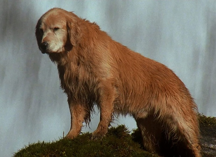 Ảnh: BrightSide Ảnh: BrightSide