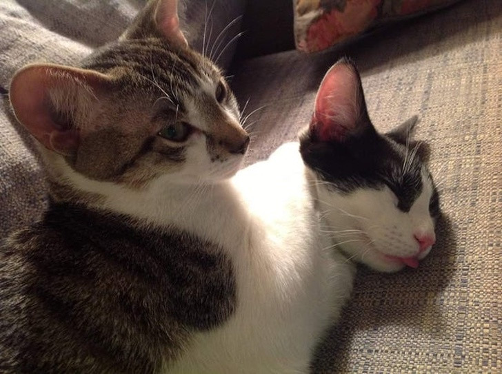 Ảnh: BrightSide Ảnh: BrightSide