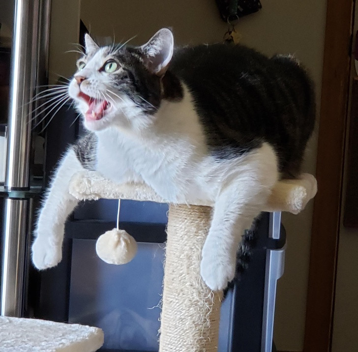 Ảnh: BrightSide Ảnh: BrightSide