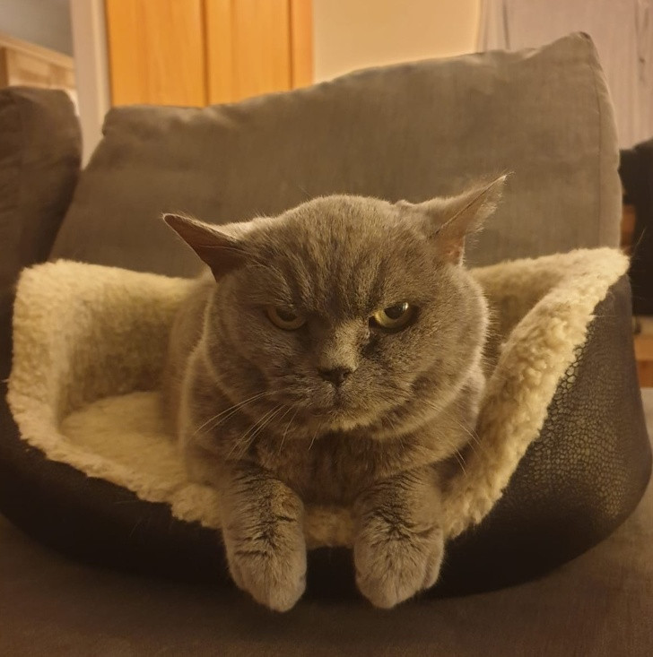 Ảnh: BrightSide Ảnh: BrightSide