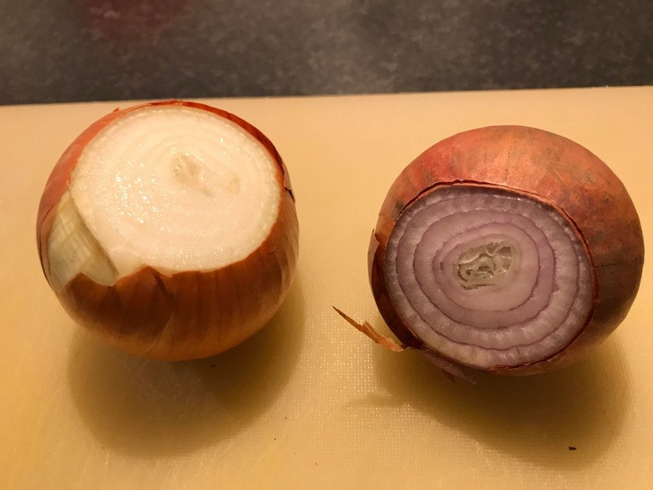 Ảnh: BrightSide Ảnh: BrightSide