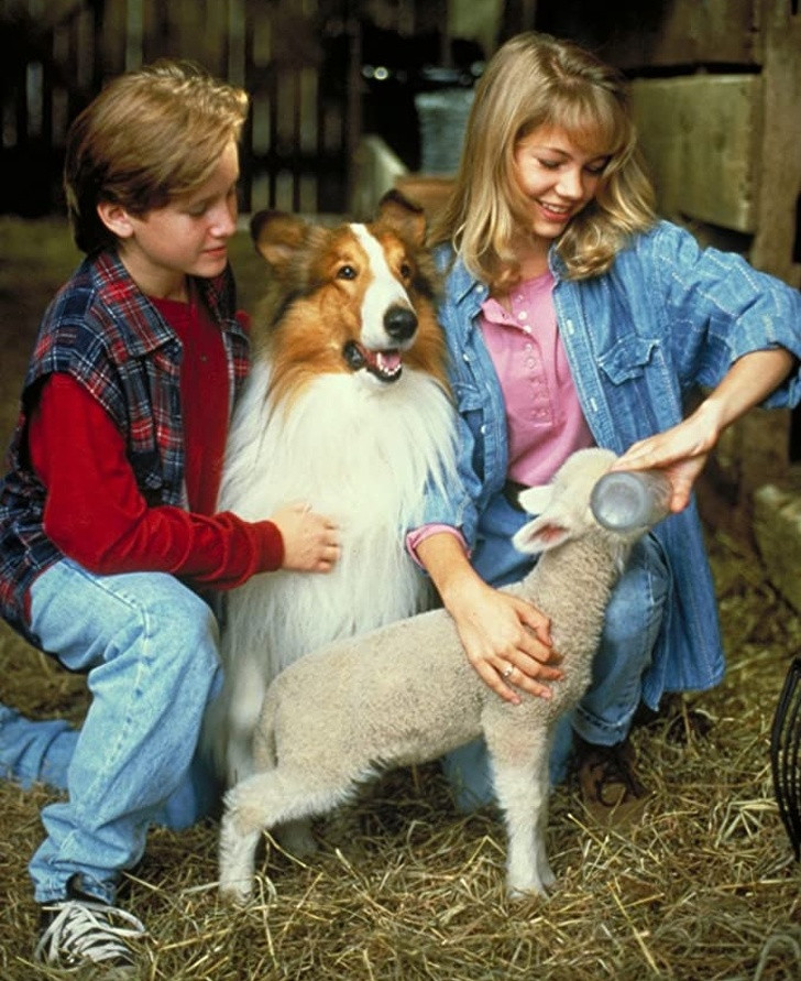 Ảnh: BrightSide Ảnh: BrightSide