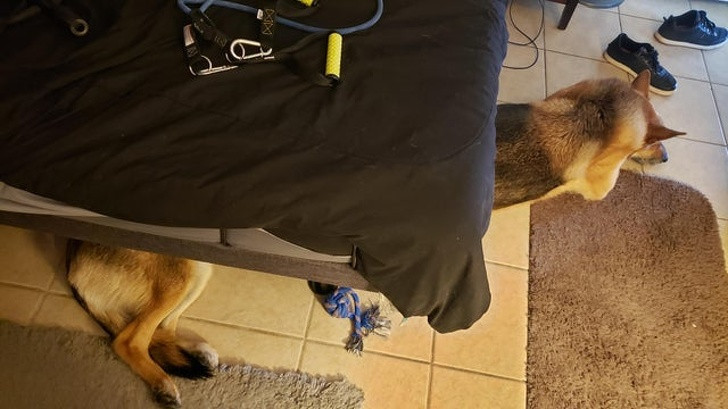 Ảnh: BrightSide Ảnh: BrightSide