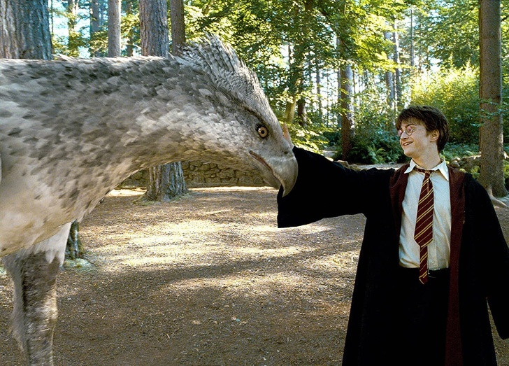 Ảnh: BrightSide Ảnh: BrightSide