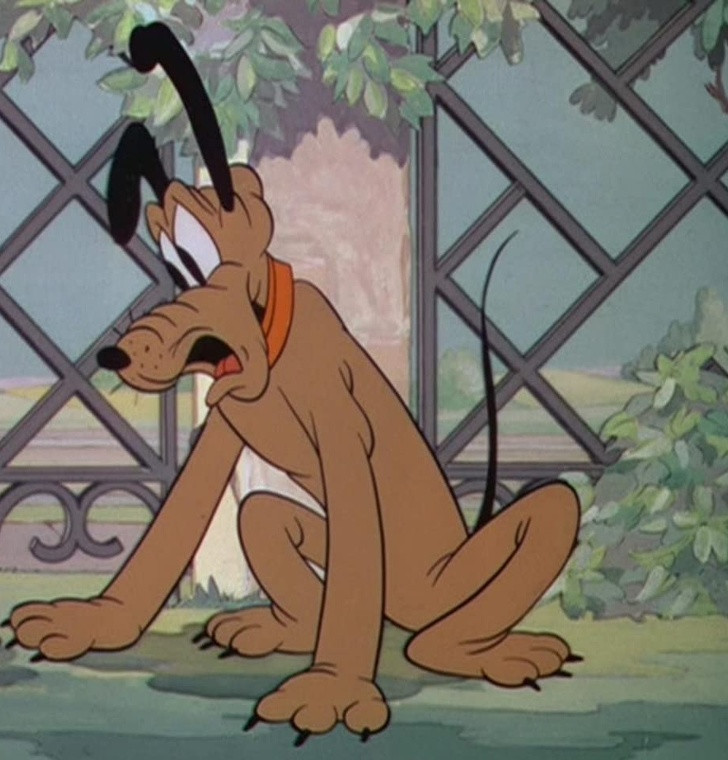 Ảnh: BrightSide Ảnh: BrightSide