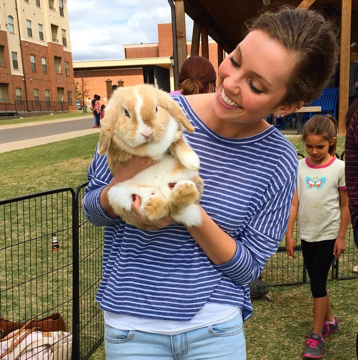 Ảnh: BrightSide Ảnh: BrightSide