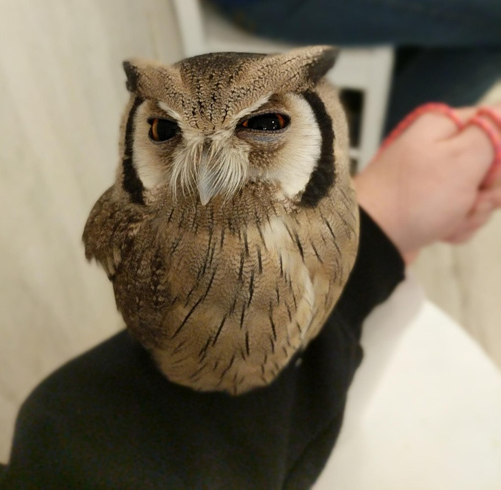 Ảnh: BrightSide Ảnh: BrightSide