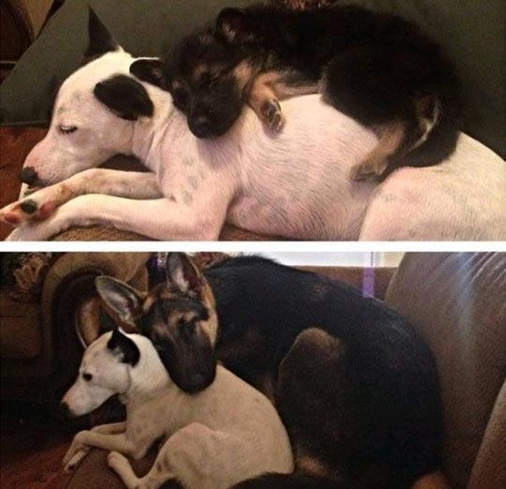 Ảnh: BrightSide Ảnh: BrightSide