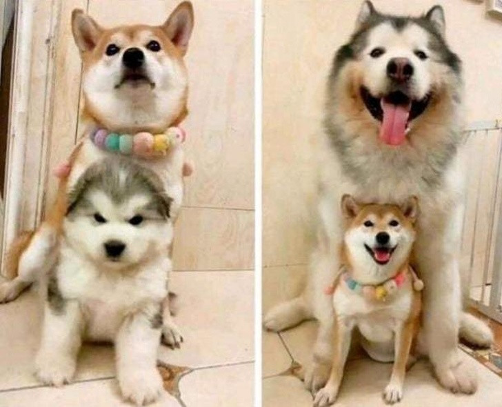 Ảnh: BrightSide Ảnh: BrightSide