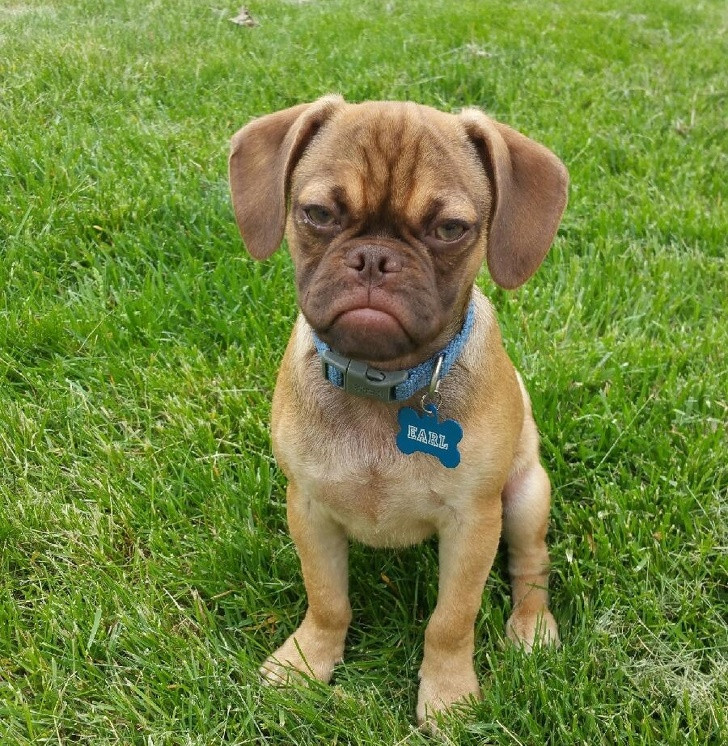 Ảnh: BrightSide Ảnh: BrightSide