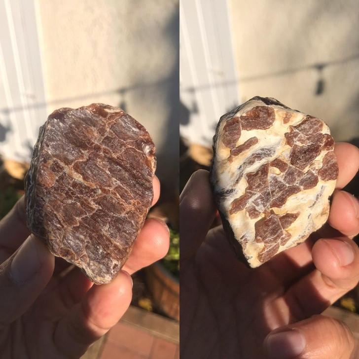 Ảnh: BrightSide Ảnh: BrightSide