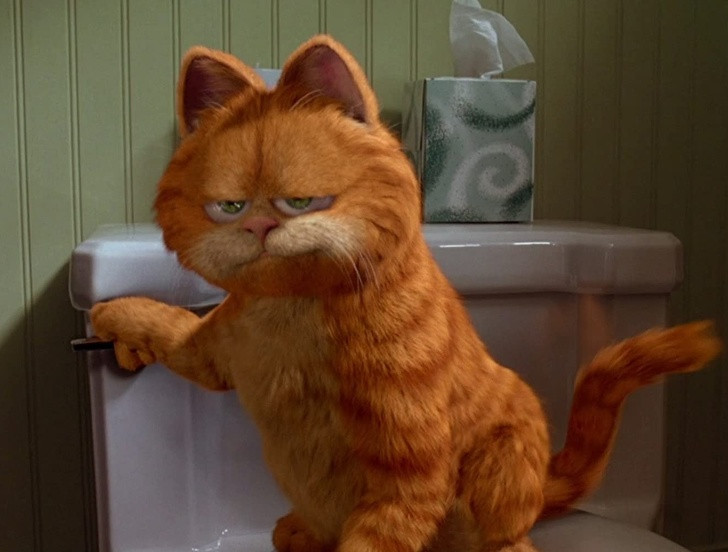 Ảnh: BrightSide Ảnh: BrightSide