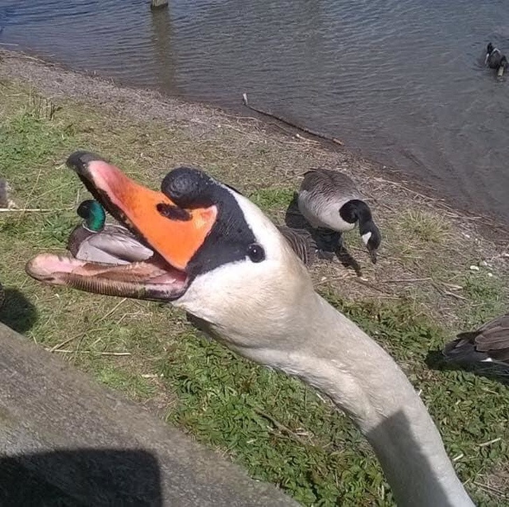 Ảnh: BrightSide Ảnh: BrightSide