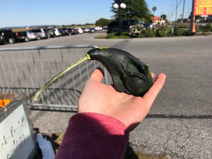 Ảnh: BrightSide Ảnh: BrightSide