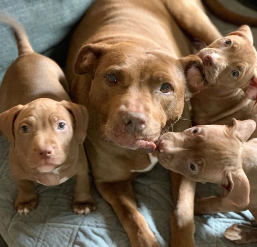 Ảnh: BrightSide Ảnh: BrightSide