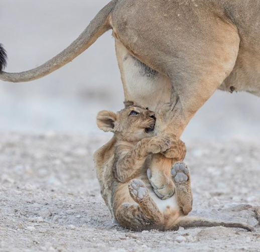 Ảnh: BrightSide Ảnh: BrightSide