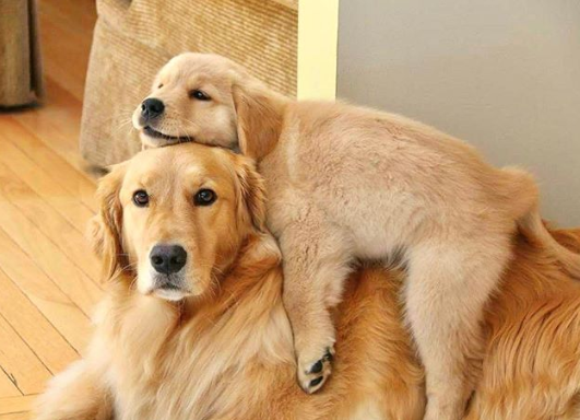 Ảnh: BrightSide Ảnh: BrightSide