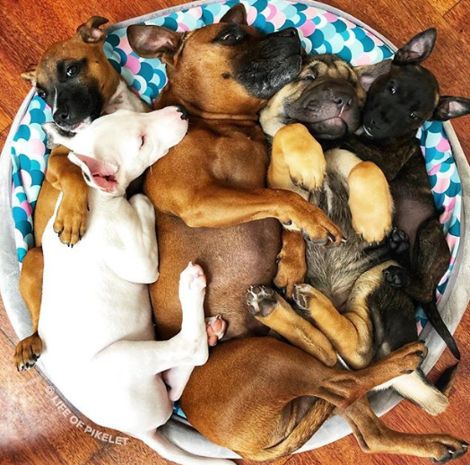 Ảnh: BrightSide Ảnh: BrightSide