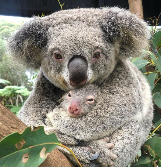 Ảnh: BrightSide Ảnh: BrightSide