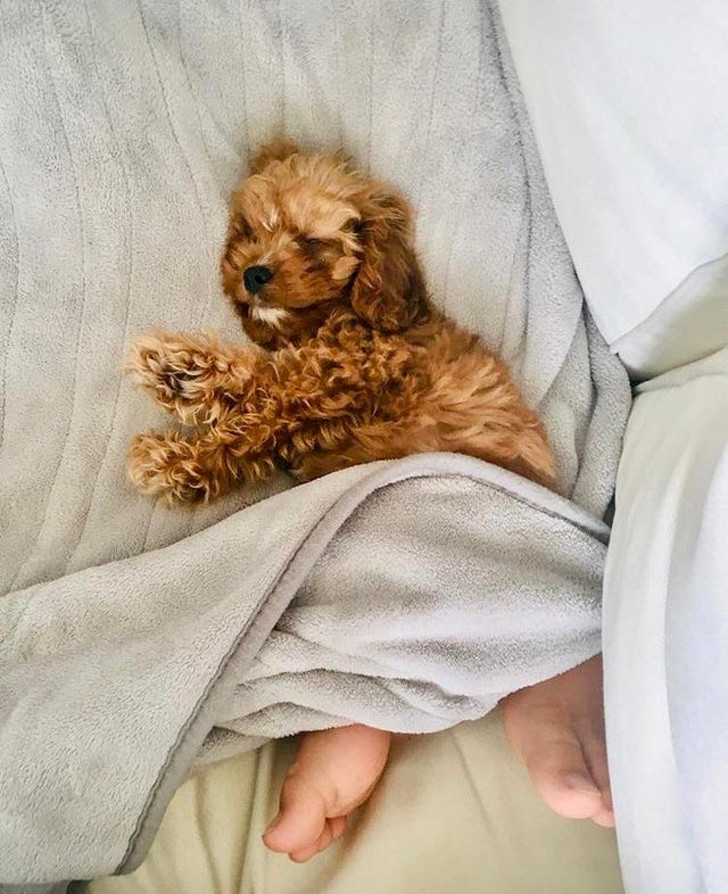 Ảnh: BrightSide Ảnh: BrightSide