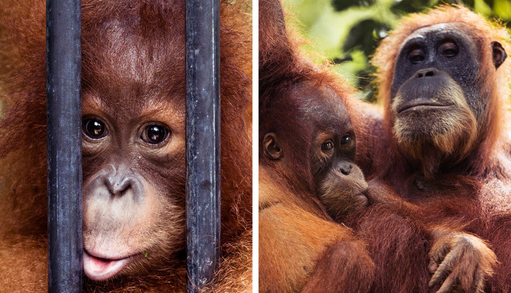 Ảnh: BrightSide Ảnh: BrightSide