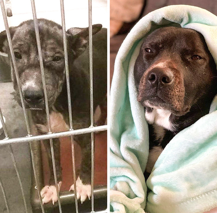 Ảnh: BrightSide Ảnh: BrightSide