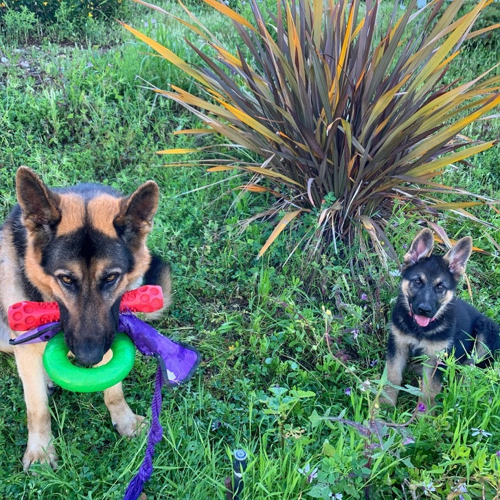 Ảnh: BrightSide Ảnh: BrightSide