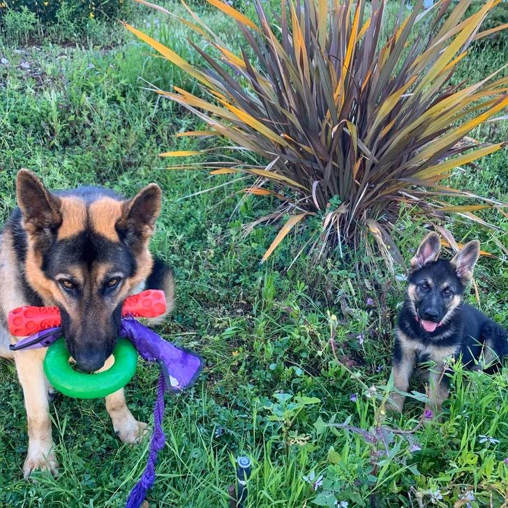 Ảnh: BrightSide Ảnh: BrightSide