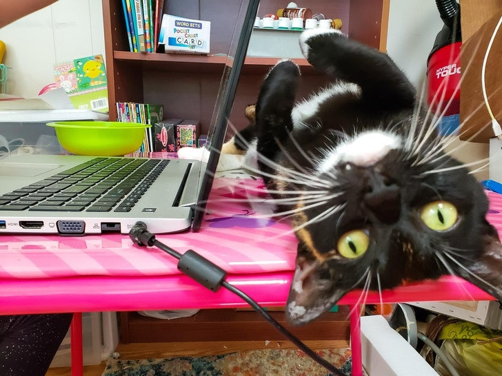 Ảnh: BrightSide Ảnh: BrightSide