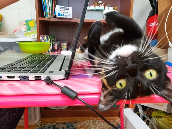 Ảnh: BrightSide Ảnh: BrightSide