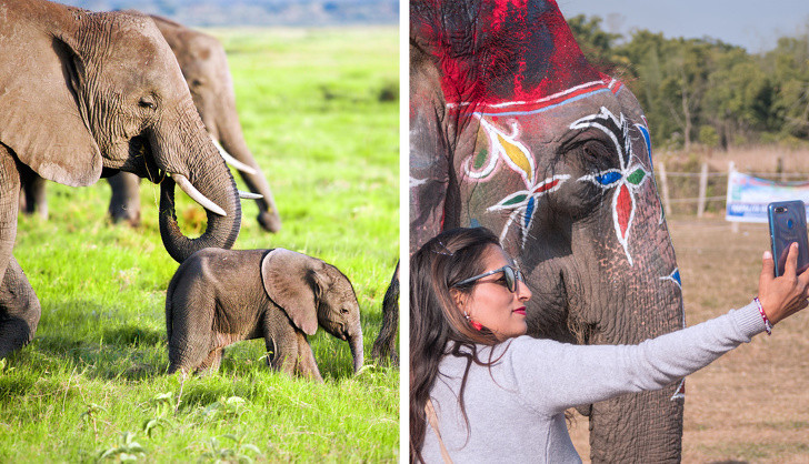 Ảnh: BrightSide Ảnh: BrightSide