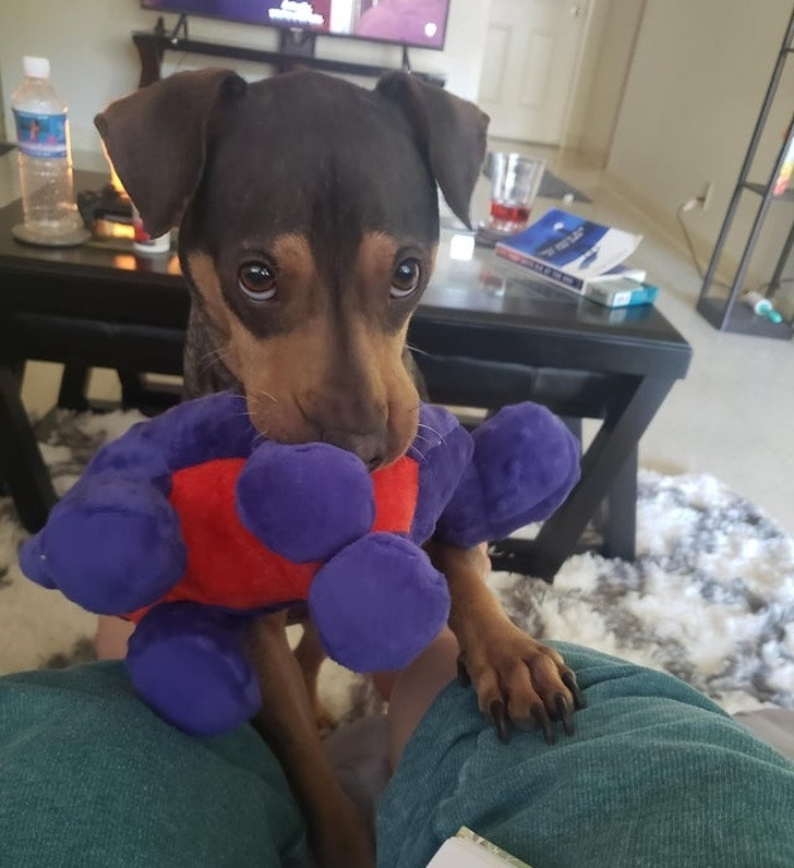 Ảnh: BrightSide Ảnh: BrightSide