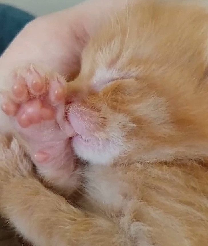 Ảnh: BrightSide Ảnh: BrightSide