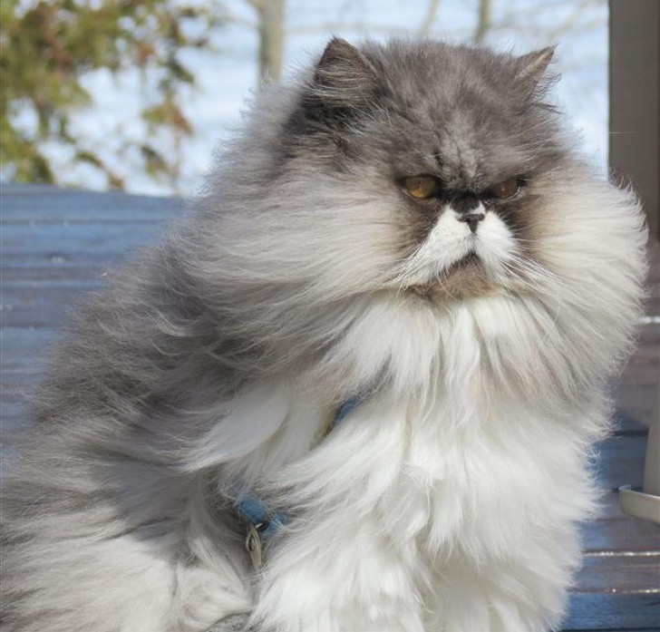 Ảnh: BrightSide Ảnh: BrightSide