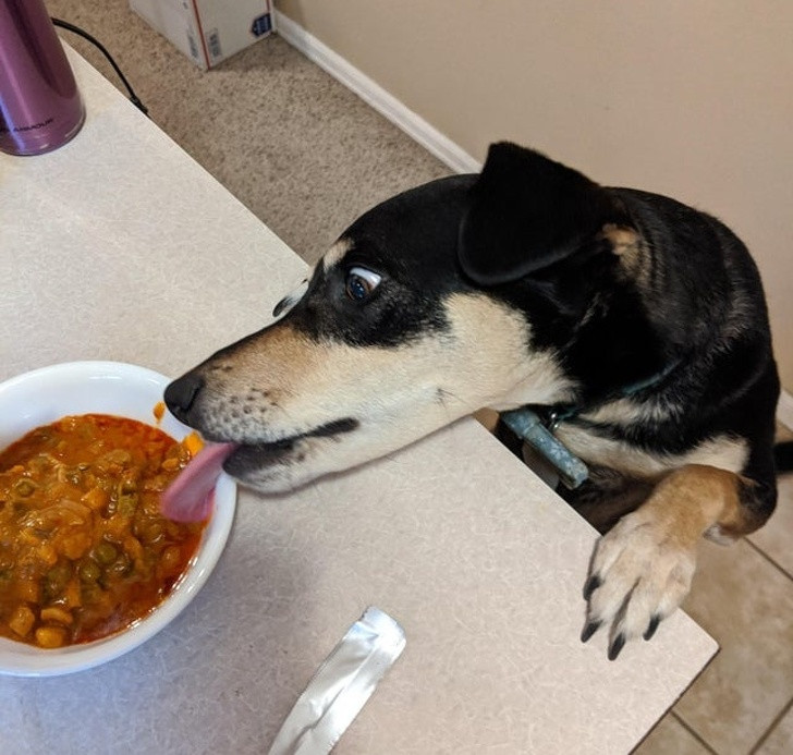 Ảnh: BrightSide Ảnh: BrightSide