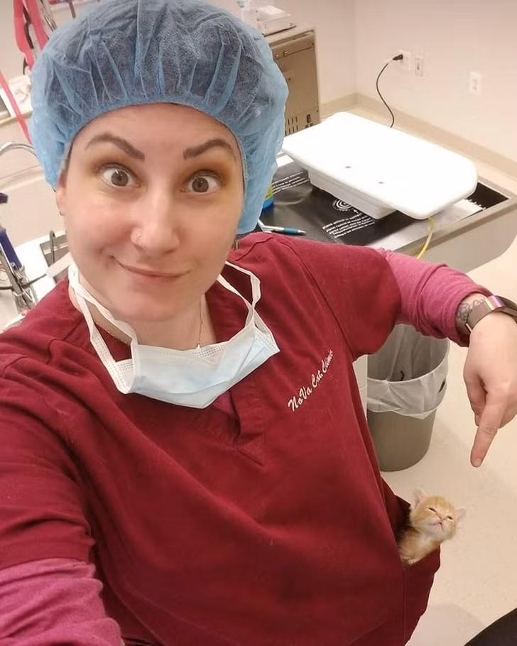 Ảnh:BrightSide Ảnh:BrightSide