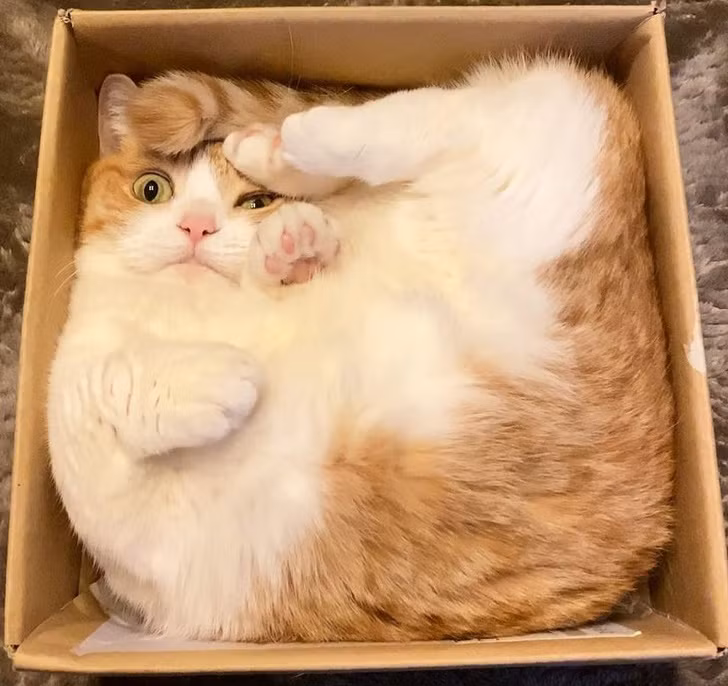 Ảnh: BrightSide Ảnh: BrightSide