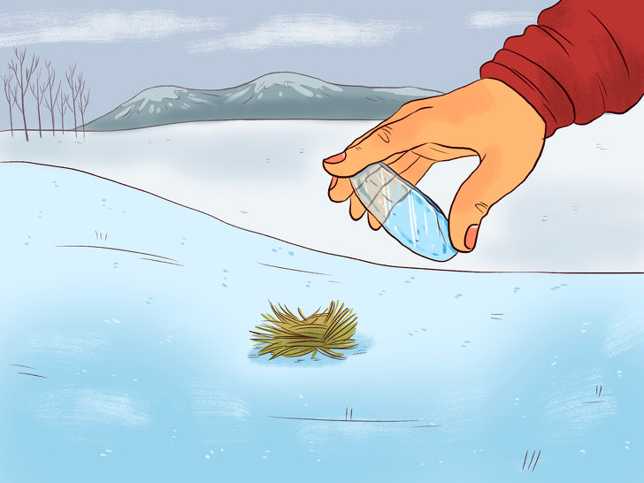 Ảnh: BrightSide Ảnh: BrightSide