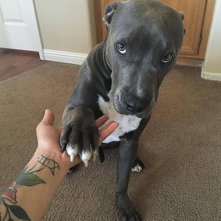 Ảnh: BrightSide Ảnh: BrightSide