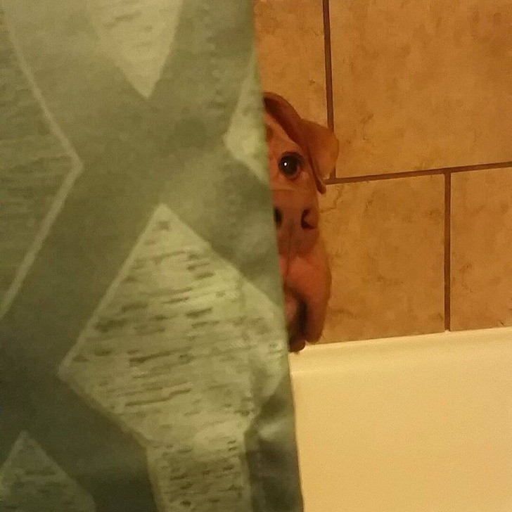 Ảnh: BrightSide Ảnh: BrightSide