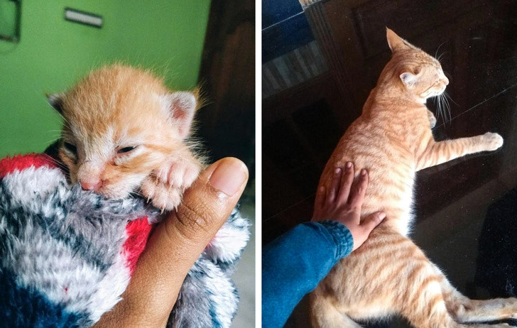 Ảnh: BrightSide Ảnh: BrightSide