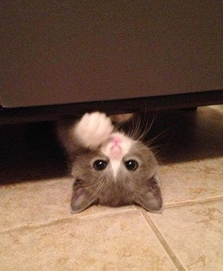 Ảnh: BrightSide Ảnh: BrightSide