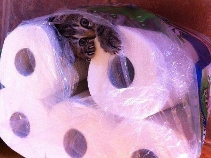 Ảnh: BrightSide Ảnh: BrightSide